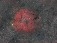 IC1396 mit Dunkelnebel in Kepheus